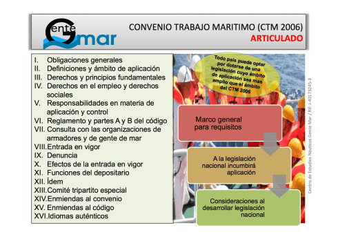 Articulado CTM 2006 : MLC 2006